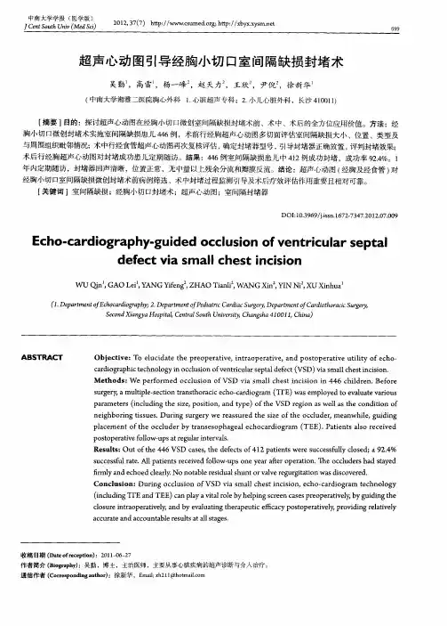 超声心动图引导经胸小切口室间隔缺损封堵术