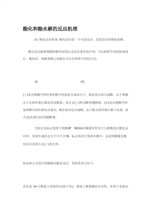 酯化与水解