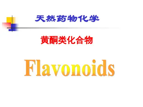 天然药物化学-黄酮类