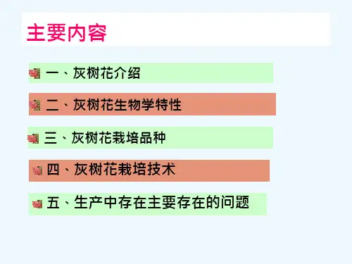 灰树花栽培技术课件