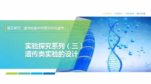 2025年高考生物一轮复习课件23第五单元实验探究系列(三)遗传类实验的设计