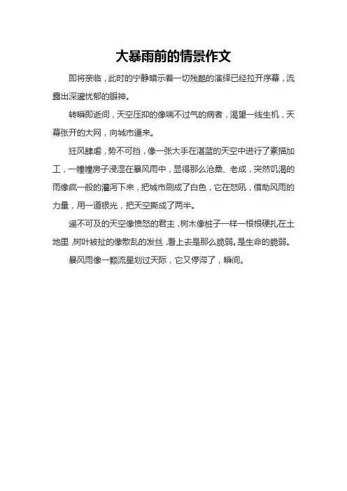 大暴雨前的情景作文