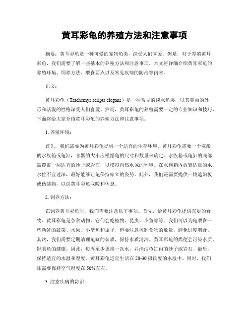 黄耳彩龟的养殖方法和注意事项