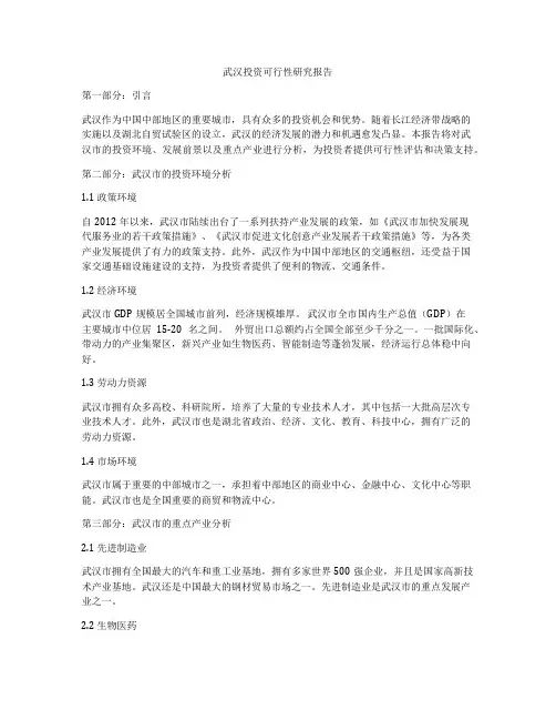 武汉投资可行性研究报告