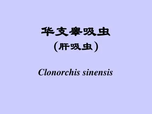 人体寄生虫实验肝与胆管寄生虫