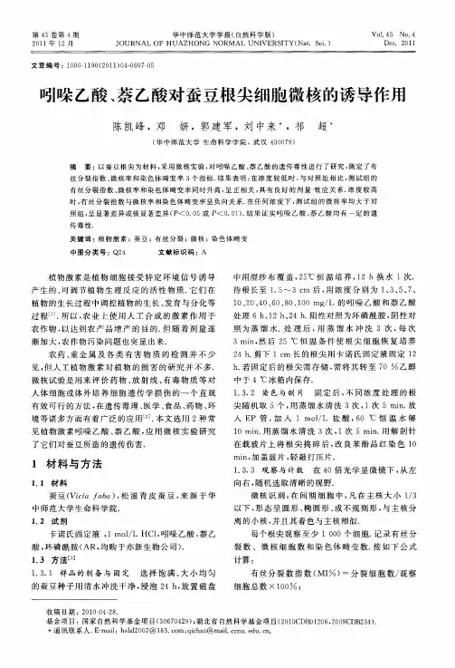 吲哚乙酸、萘乙酸对蚕豆根尖细胞微核的诱导作用
