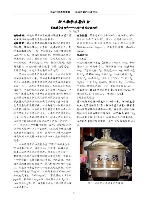 微生物学实验报告——双歧杆菌分离