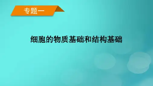 (新高考)2023版高考生物二轮总复习 专题1 细胞的物质基础和结构基础 第3讲 物质的跨膜运输课件