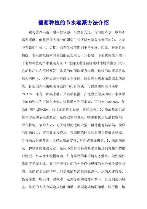 葡萄种植的节水灌溉方法介绍