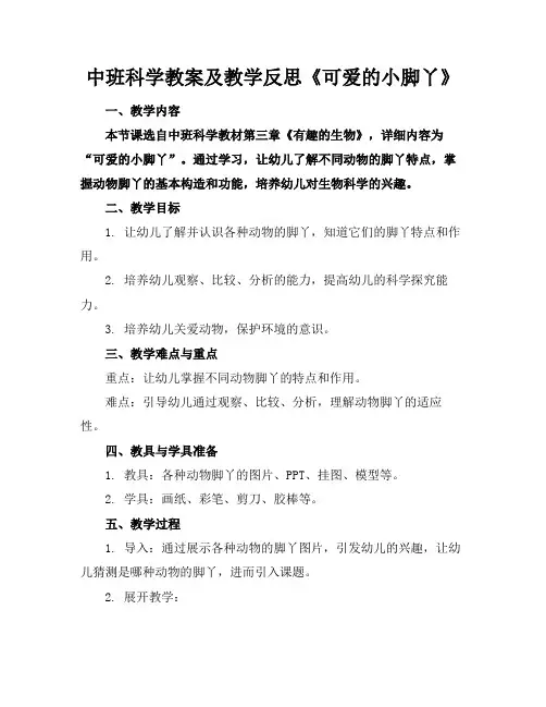 中班科学教案及教学反思《可爱的小脚丫》