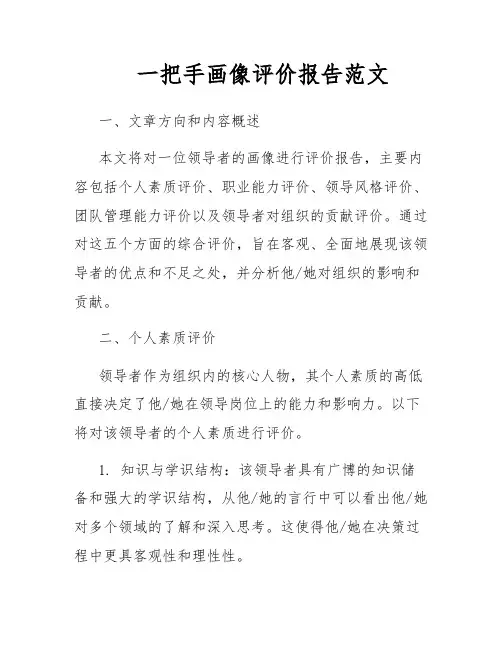 一把手画像评价报告范文