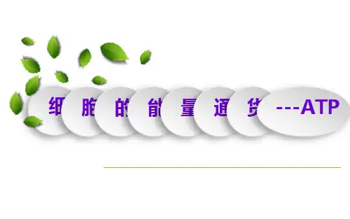 高中生物必修一课件-5.2 细胞的能量“通货”——ATP人教版说课课件