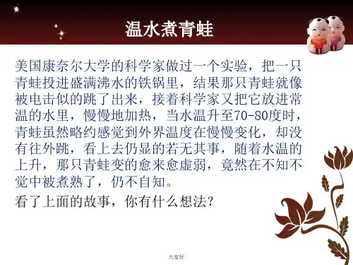 项目风险管理案例分析报告-PPT