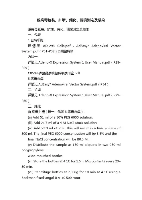 腺病毒包装、扩增、纯化、滴度测定及感染
