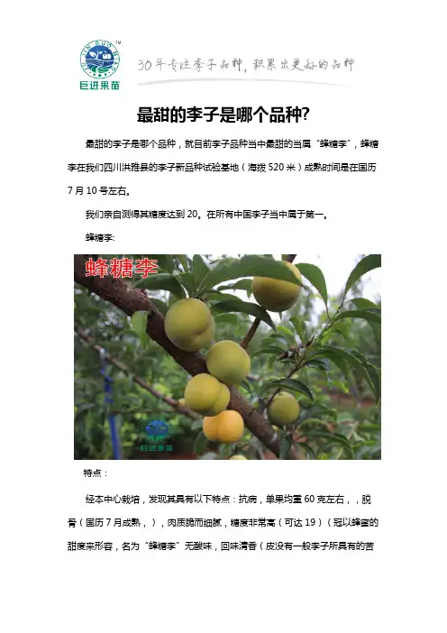 最甜的李子是哪个品种