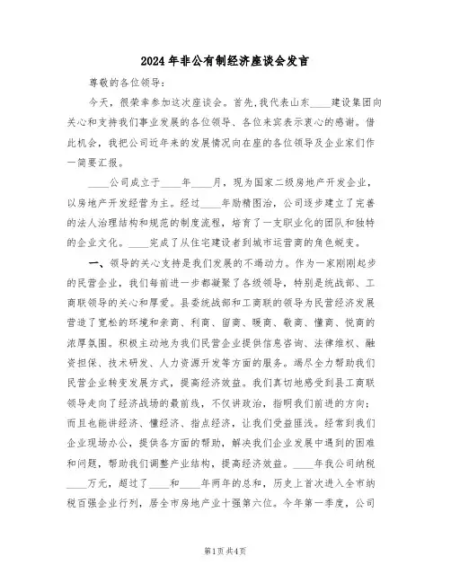 2024年非公有制经济座谈会发言(二篇)