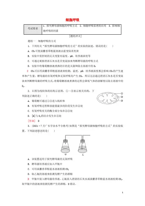 高考生物一轮复习考点练5细胞呼吸含解析