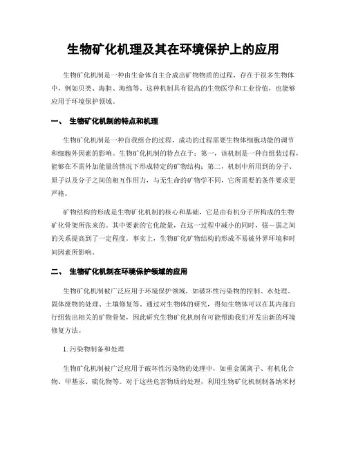 生物矿化机理及其在环境保护上的应用