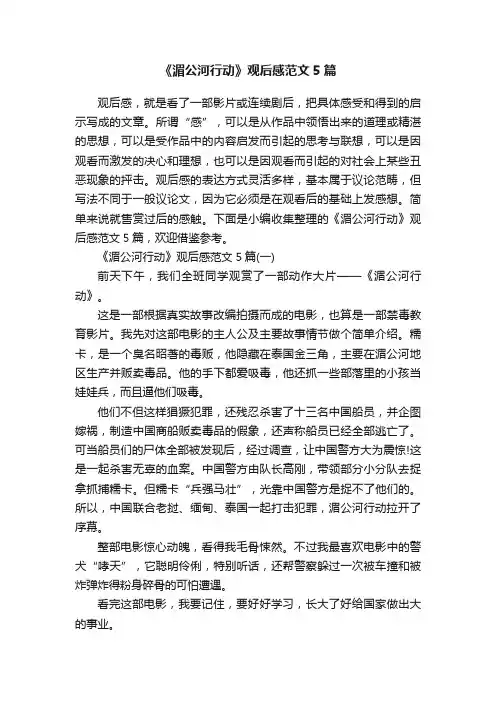 《湄公河行动》观后感范文5篇