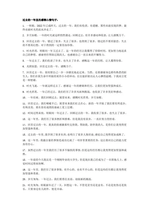 过去的一年里的感慨心情句子