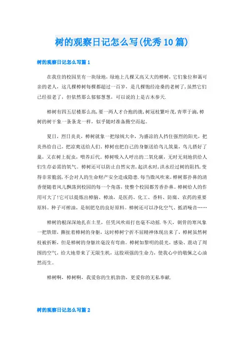 树的观察日记怎么写(优秀10篇)