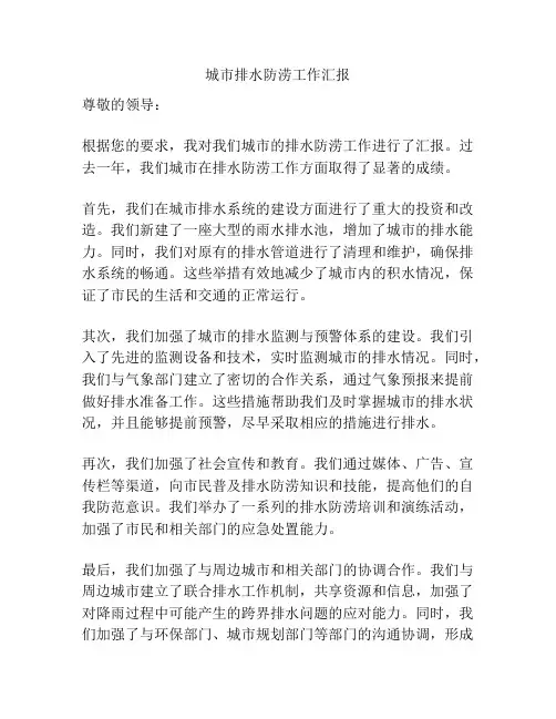 城市排水防涝工作汇报