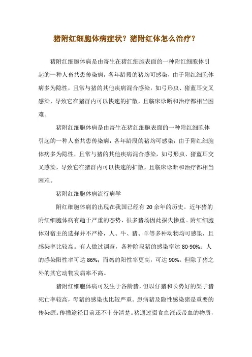 猪附红细胞体病症状？猪附红体怎么治疗？