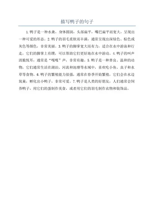 描写鸭子的句子