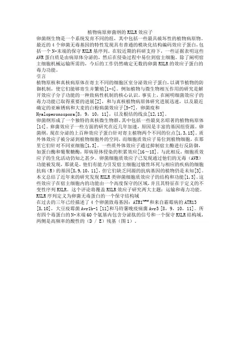 卵菌纲致病效应子