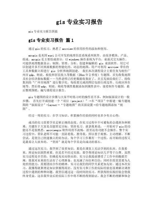 gis专业实习报告