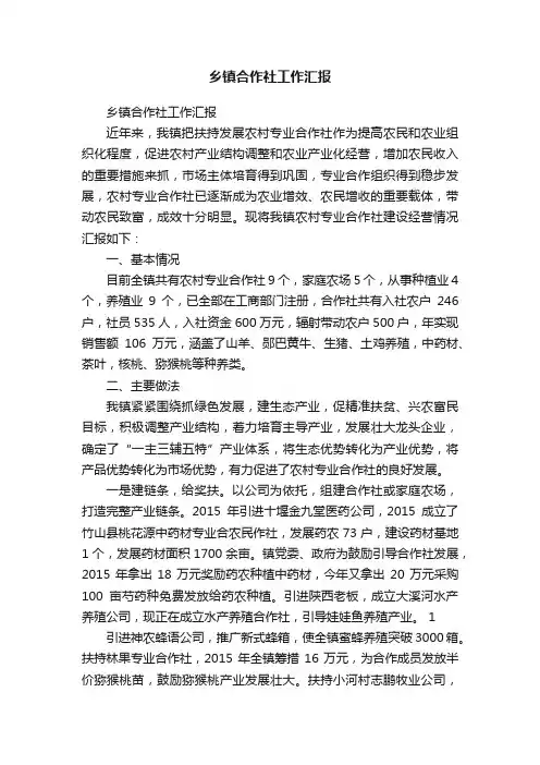 乡镇合作社工作汇报