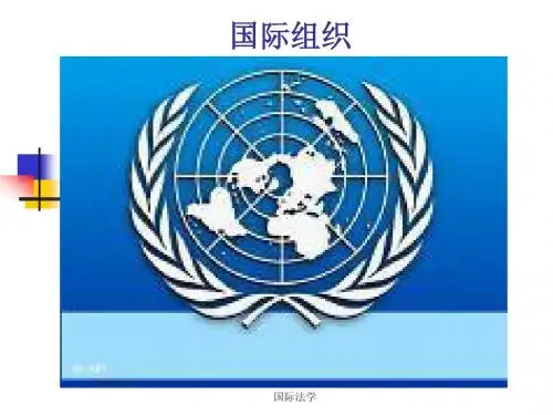 第七章 国际组织法