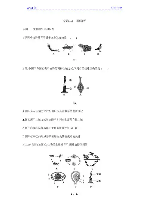 人教版八年级生物下册专题复习训练：专题(二) 识图分析(解析版)