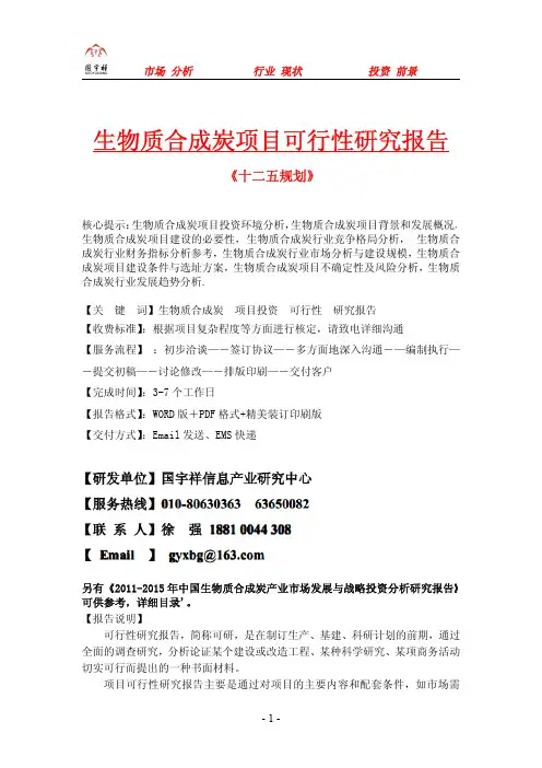 生物质合成炭项目可行性研究报告.