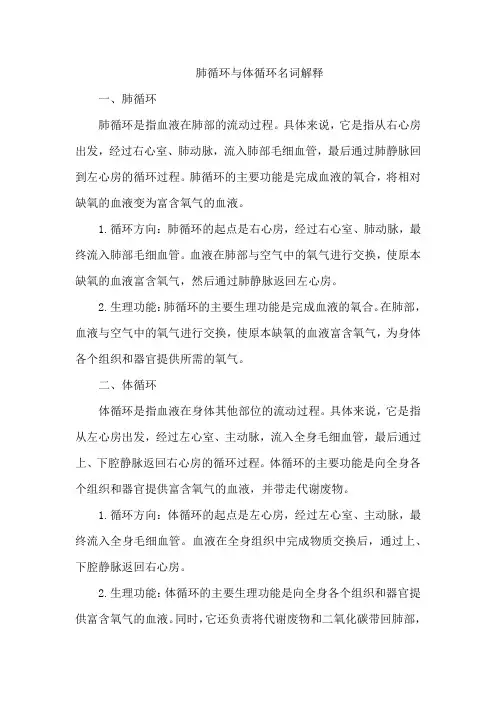 肺循环与体循环名词解释