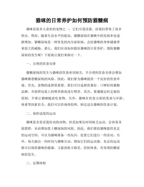 猫咪的日常养护如何预防猫糖病