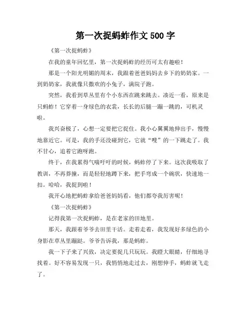 第一次捉蚂蚱作文500字
