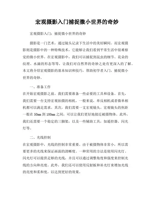 宏观摄影入门捕捉微小世界的奇妙