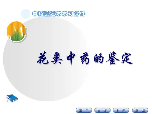 中药鉴定学PPT课件：花类中药的鉴定