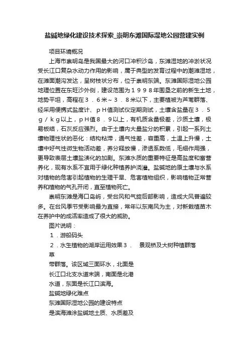 盐碱地绿化建设技术探索_崇明东滩国际湿地公园营建实例