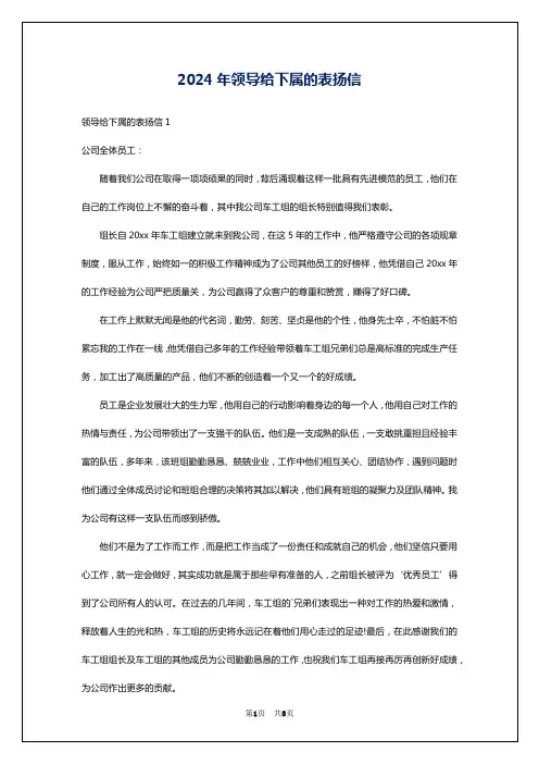 2024年领导给下属的表扬信