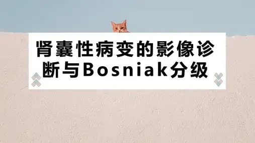 肾囊性病变的影像诊断与Bosniak分级