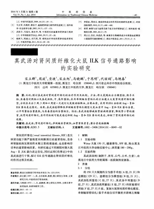 真武汤对肾间质纤维化大鼠ILK信号通路影响的实验研究