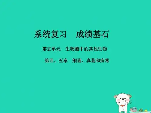 2018年中考生物第一部分系统复习第五单元第45章细菌真菌和簿课件