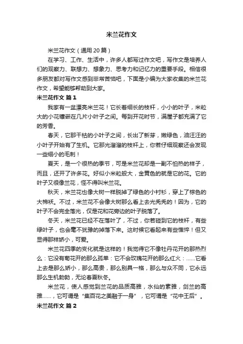 米兰花作文（通用20篇）