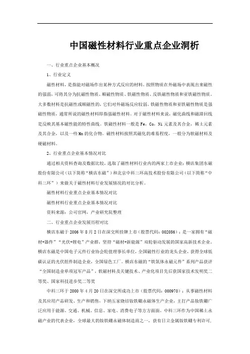 中国磁性材料行业重点企业洞析