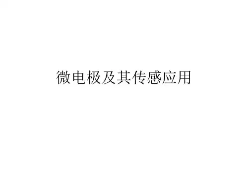 微电极及其传感应用-文档资料