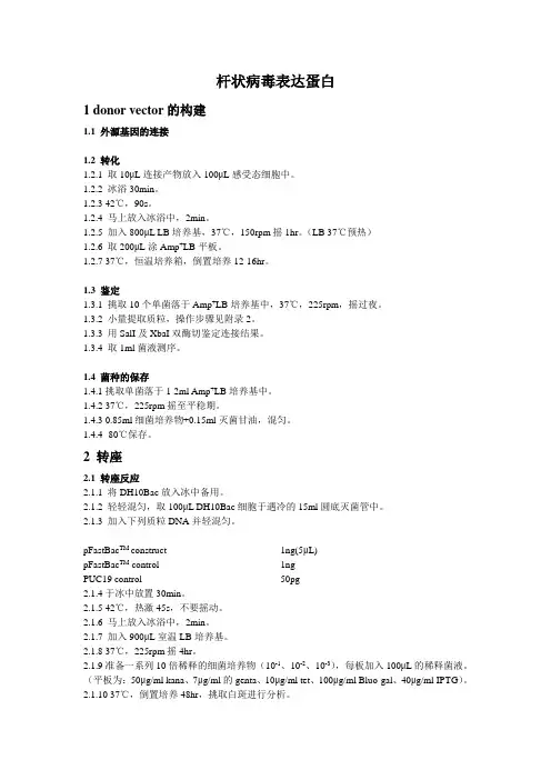 杆状病毒表达蛋白