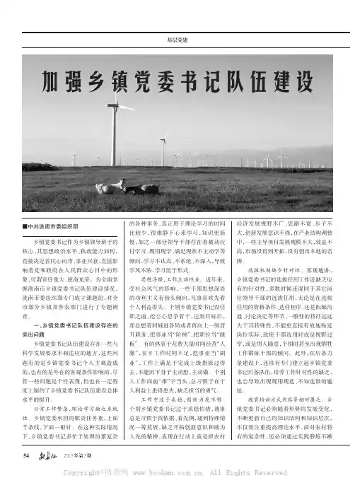 加强乡镇党委书记队伍建设