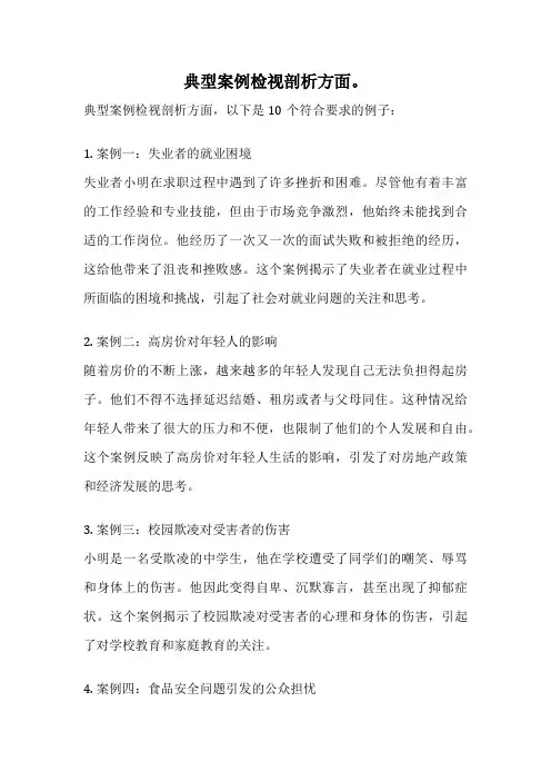 典型案例检视剖析方面。